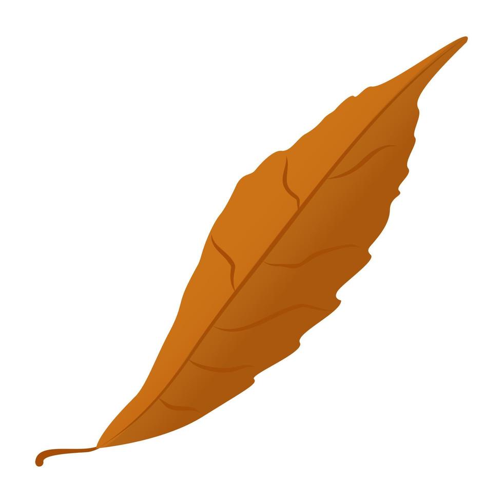 conceptos de hoja de otoño vector