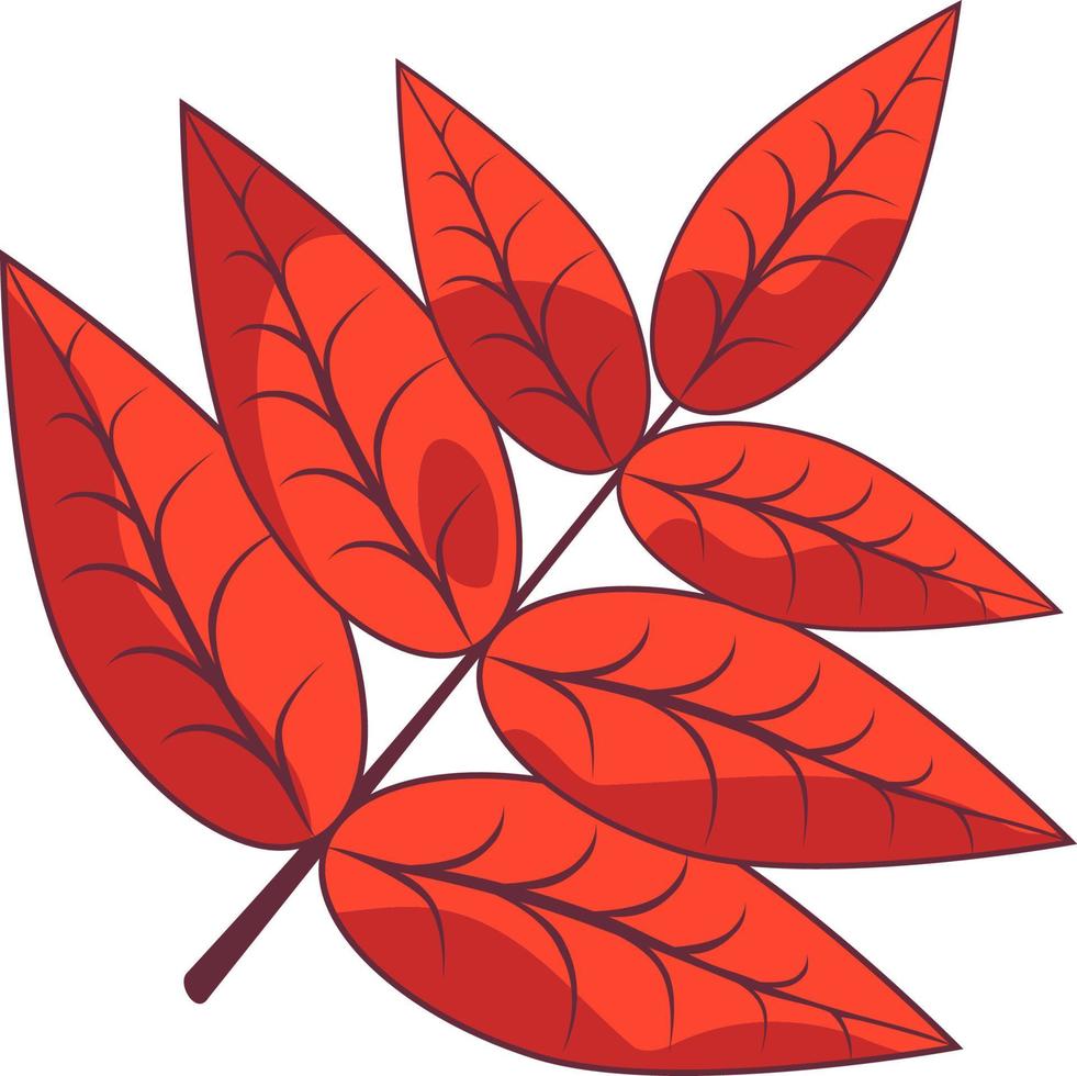 Autumn leaf of rowan. vector