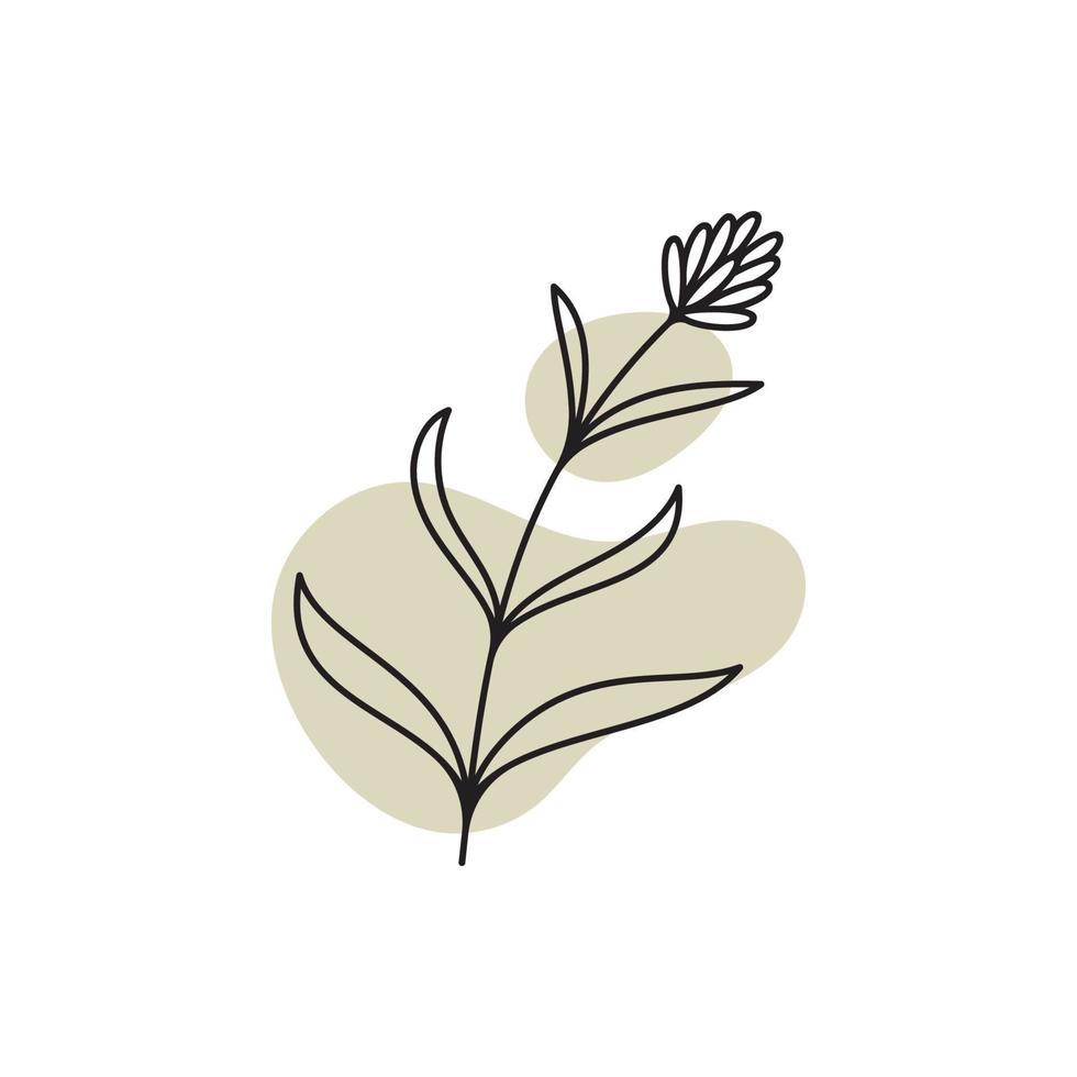 Vector botanical logo template in elegant hand draw and minimal style. Isolated object  flower.For badges  logotypes and branding