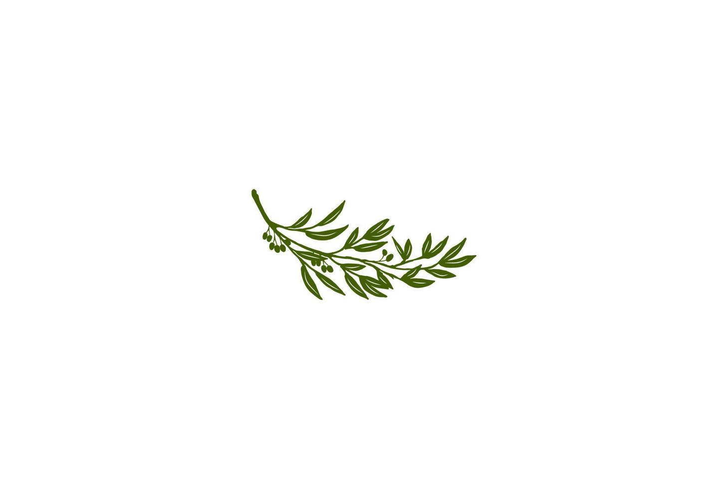 Hoja de rama de eucalipto verde para vector de diseño de logotipo de producto de aceite natural