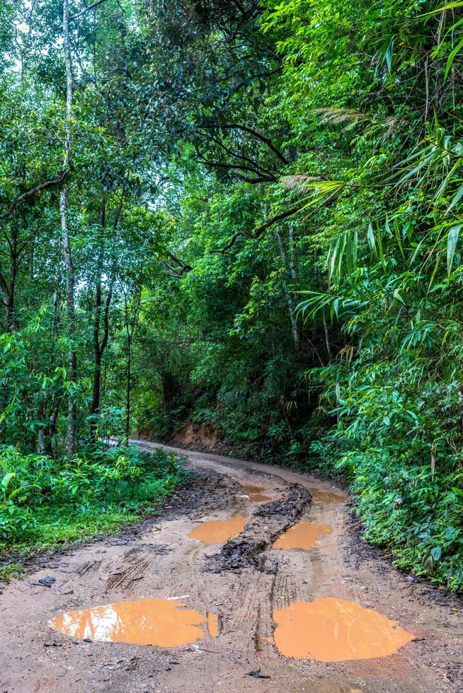 Car tire marks on the backcountry road photo