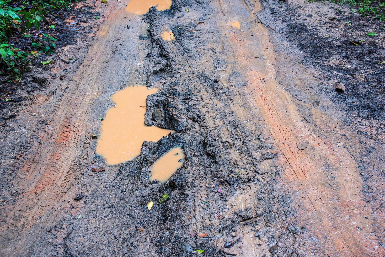 Car tire marks on the backcountry road photo