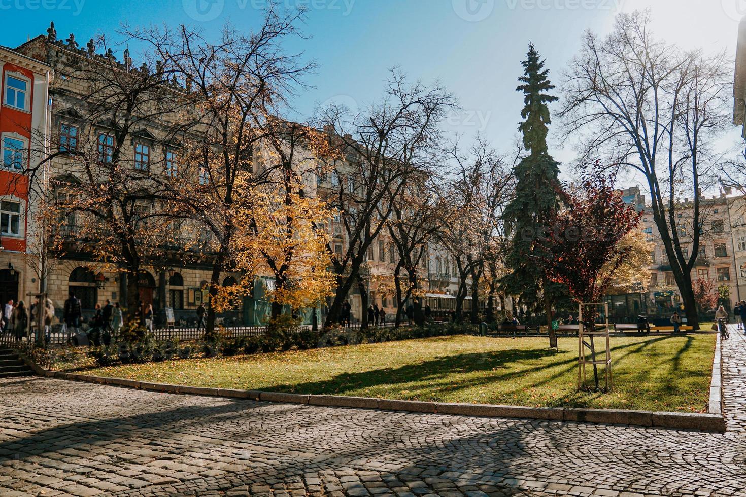 parque de otoño. calles de lviv en el centro de la ciudad. día soleado foto