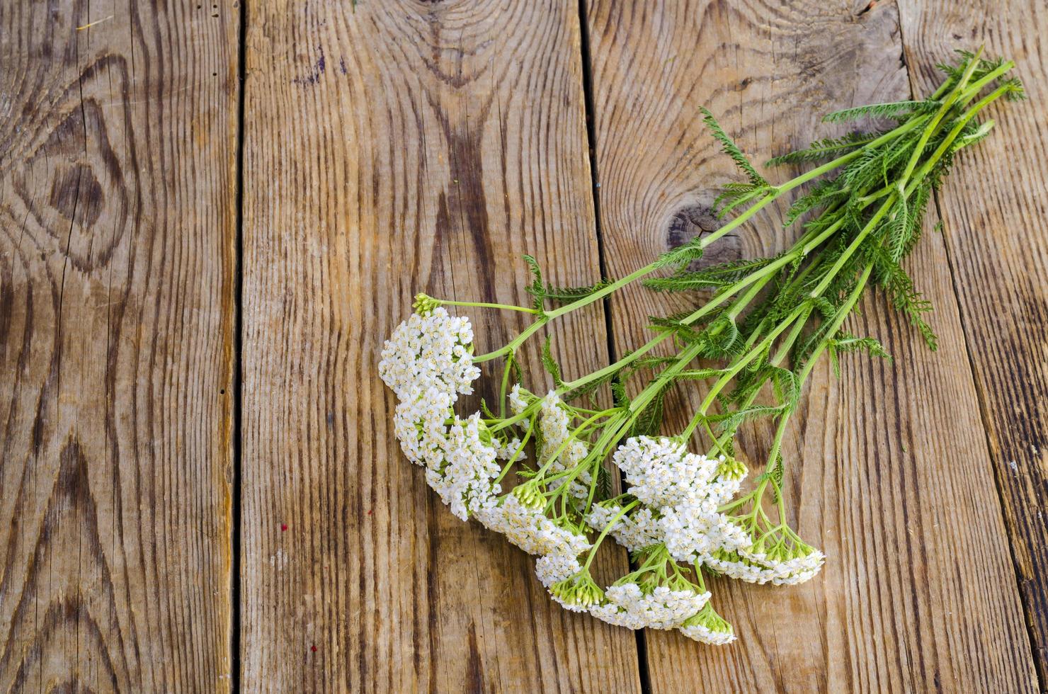 Ramo de flores silvestres con inflorescencias blancas sobre mesa de madera 4612482 Foto de stock en Vecteezy Ramo de flores silvestres con inflorescencias blancas sobre mesa de madera 4612482 Foto de stock en Vecteezy
