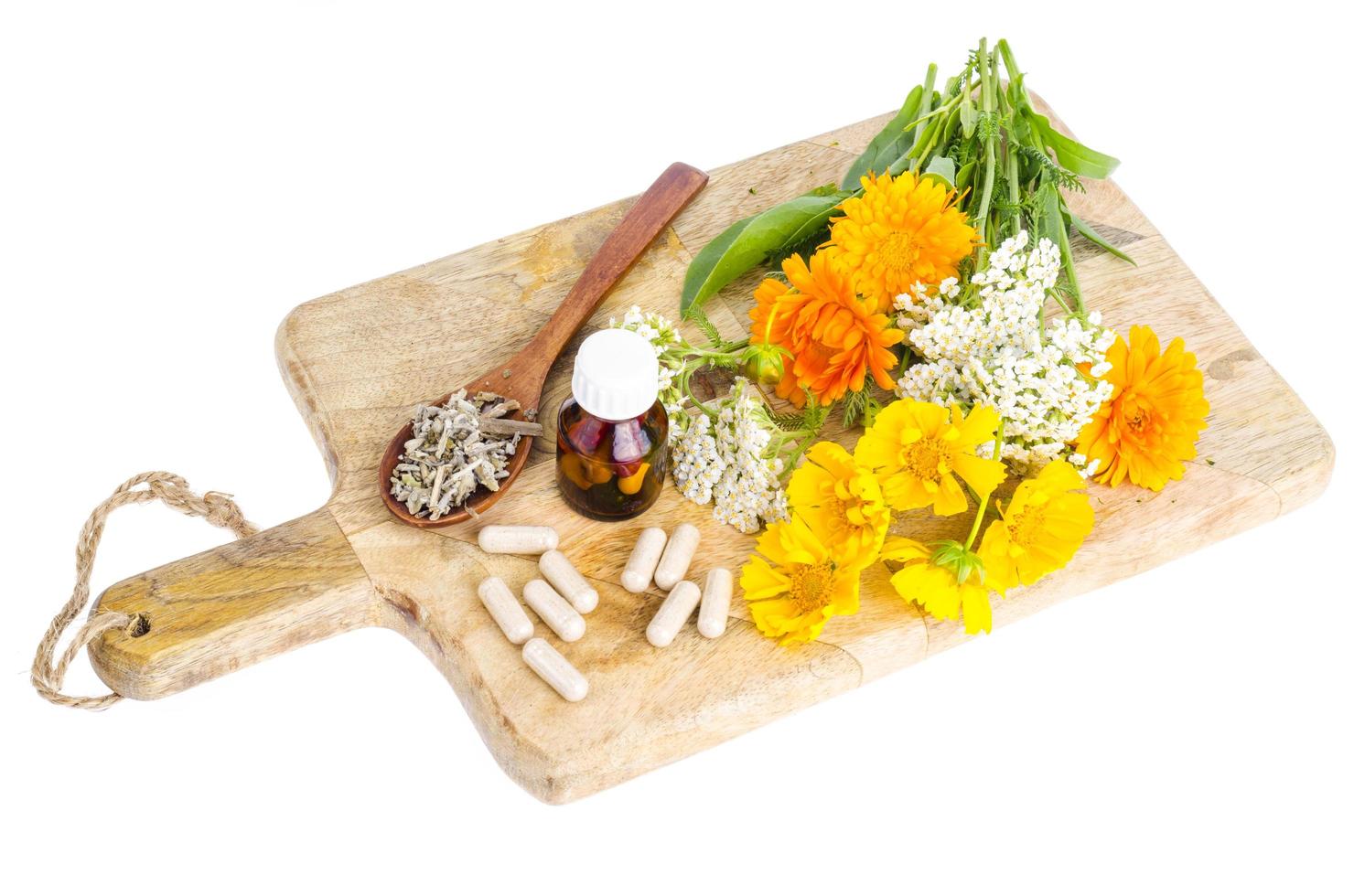 Traditional medicine concept, medicinal plants and herbal capsules photo