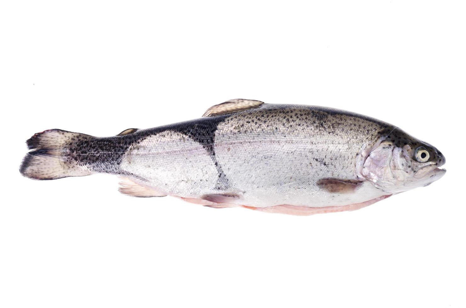 Rainbow trout peeled for cooking fish dishes on white background. photo