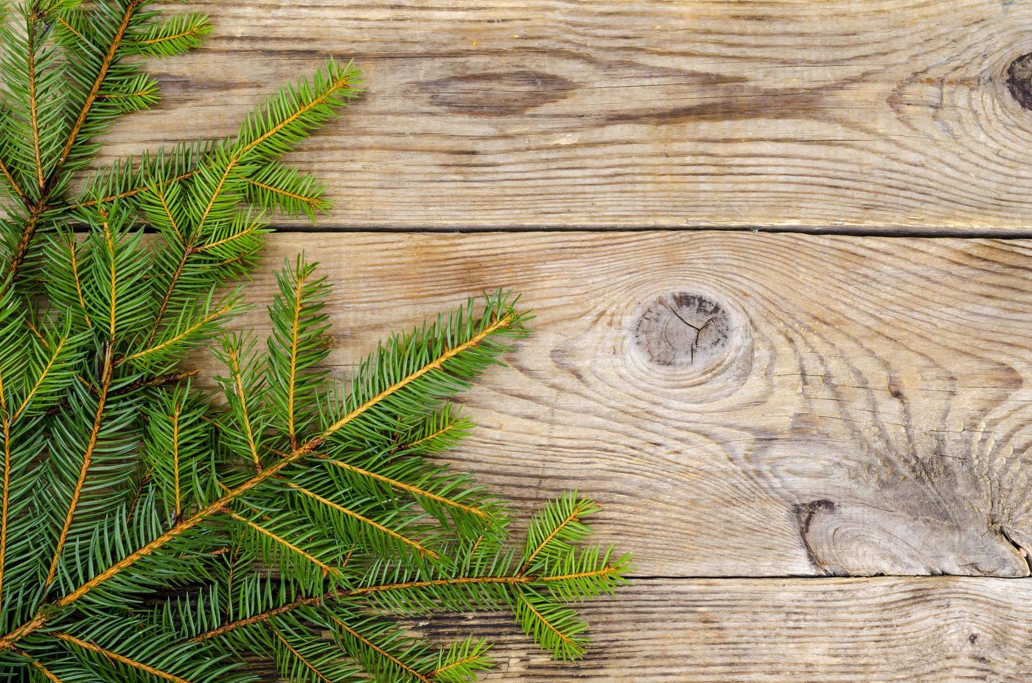 Christmas background, spruce branches on wooden surface photo