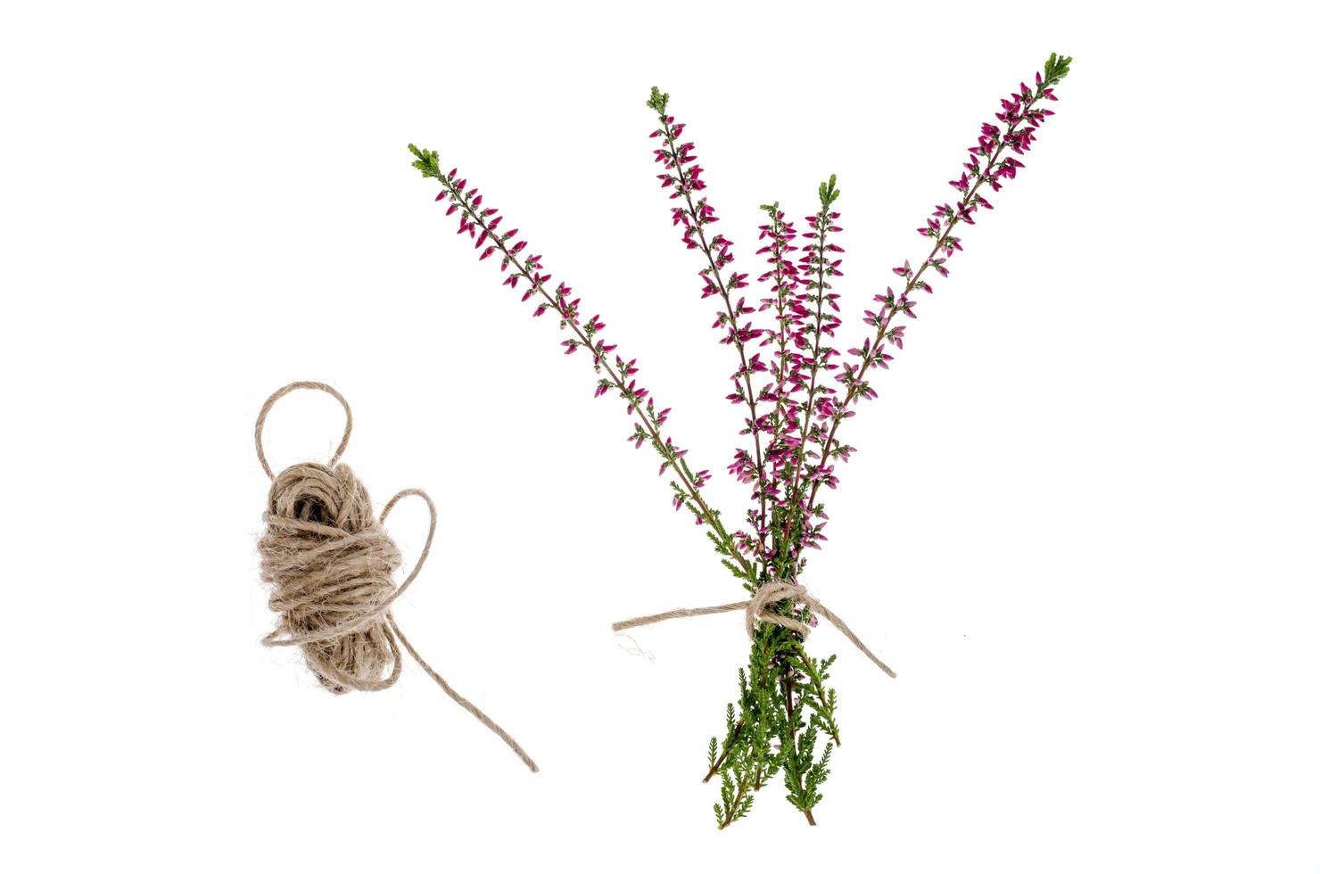 Heather Stock Photos, Images and Backgrounds for Free Download