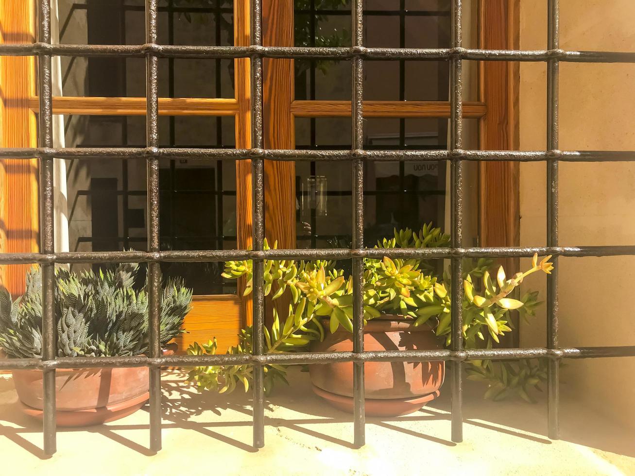 Flowering plants and potted flowers decorating building facades. photo