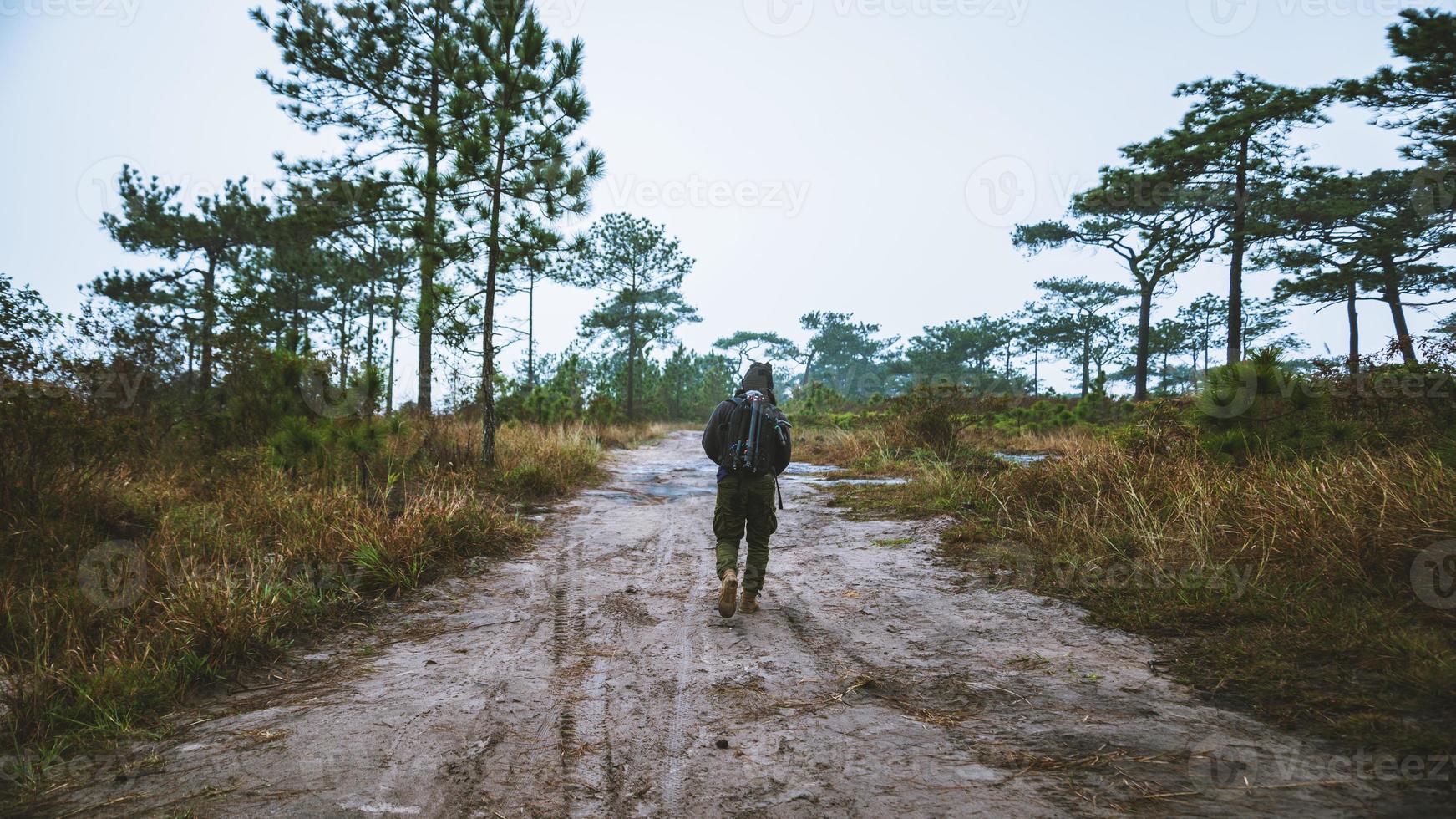 Asian men Travel Nature. Travel relax. Standing natural touch grass on the Mountain. man with a backpack Walking in the grass forest. travel nature. Hiking photo