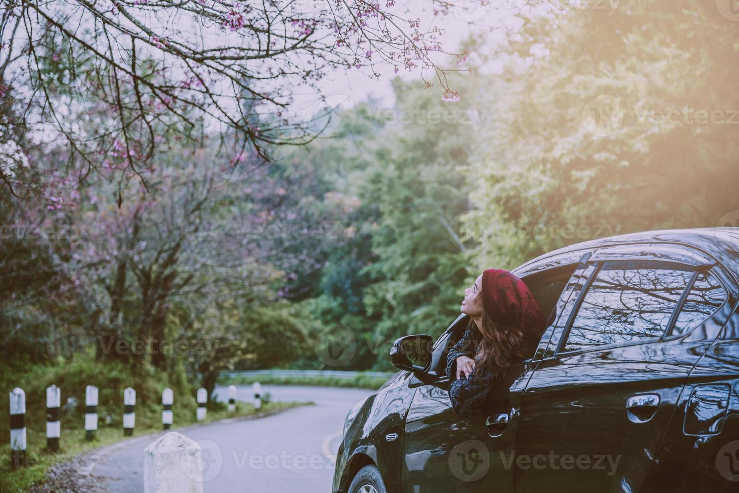 las mujeres asiáticas viajan relajarse en las vacaciones. viajando en aparcamiento. felizmente con la naturaleza, flor de sakura rosa. en el invierno foto