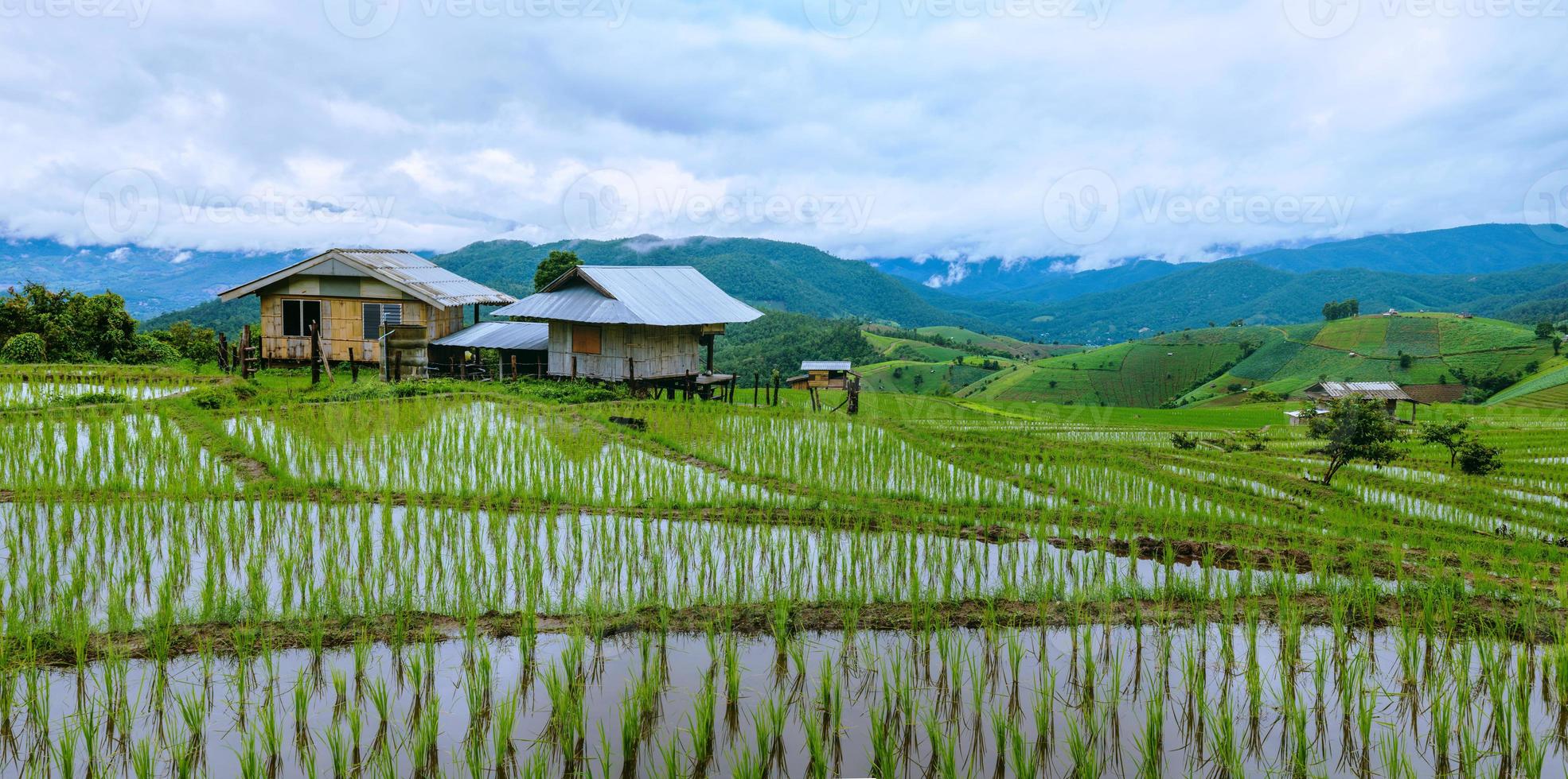 Landscape field on mountain. During the rainy season. The village in the countryside. photo