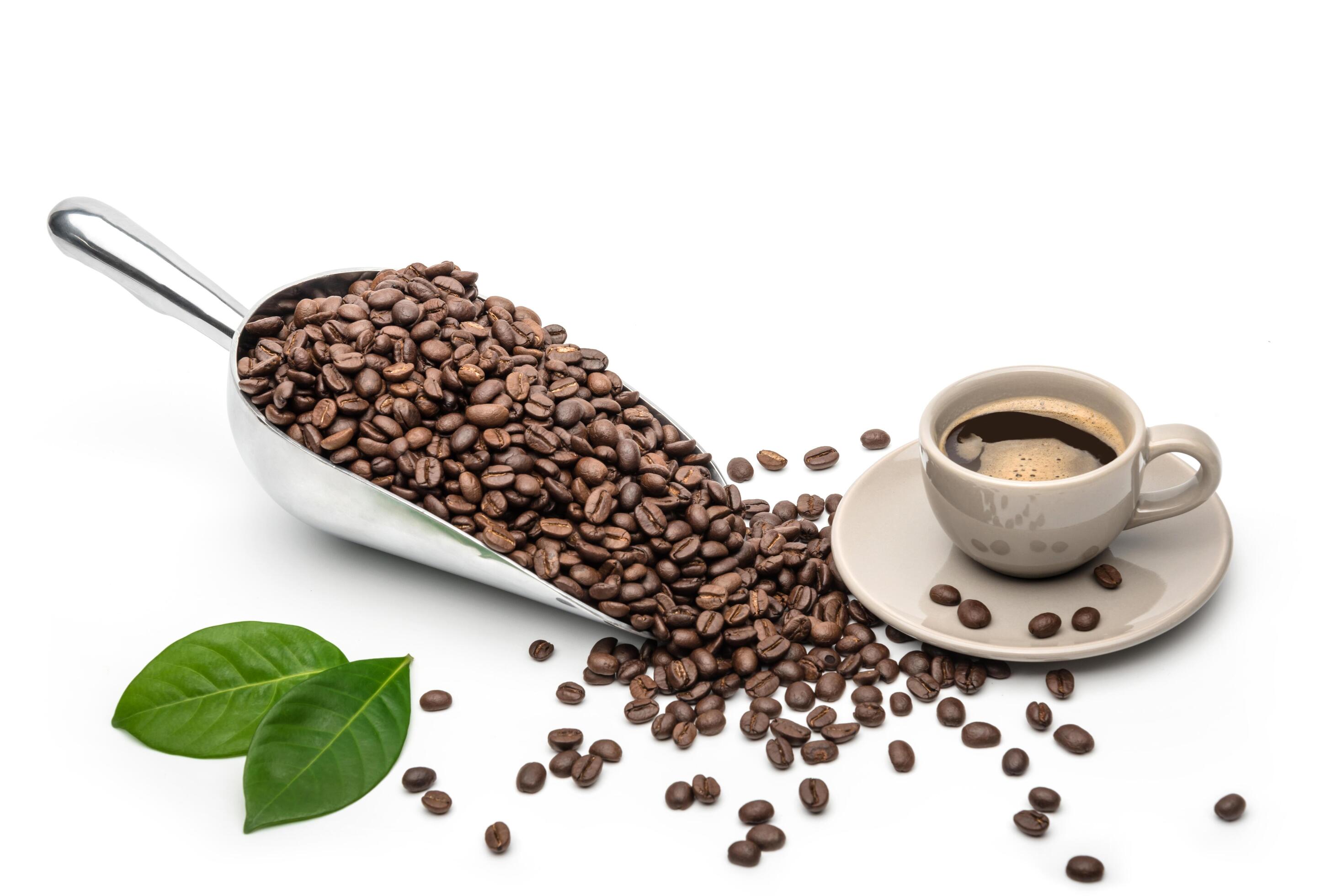 Spoon Coffee scoop and coffee beans roasted with hot coffee cup on a