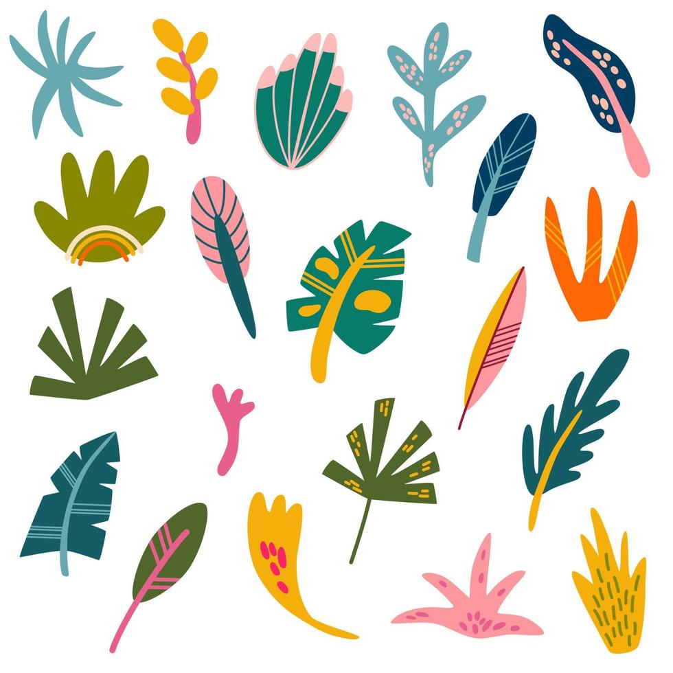 Tropical leaves set. Collection of various abstract tropical leaves. Perfect for the design of postcards, decorations for posters and printing. Vector cartoon hand draw illustration.