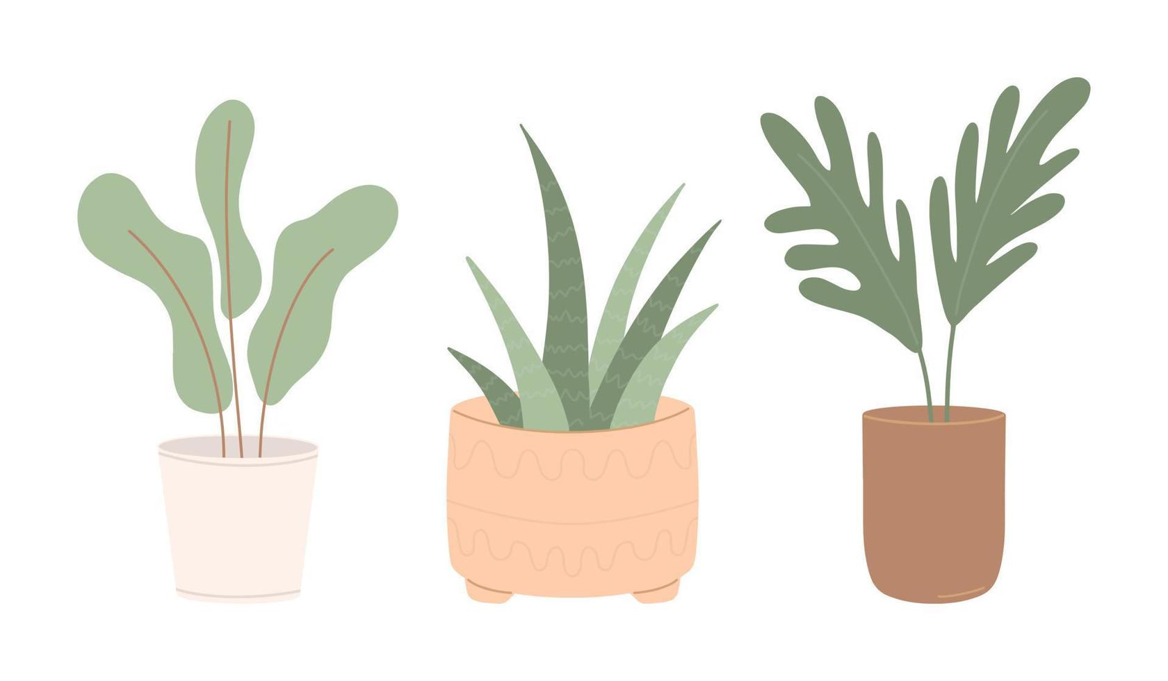 Conjunto de modernas plantas en macetas para decoración de interiores de hogar y oficina.Ilustración de vector plano coloreado aislado sobre fondo blanco.