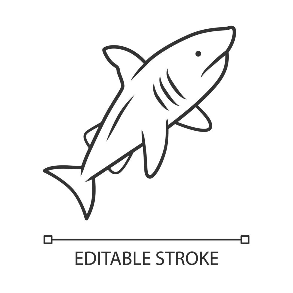 Shark linear icon. Dangerous ocean predator. Swimming fish. Underwater animal, ocean wildlife. Marine fauna. Thin line illustration. Contour symbol. Vector isolated outline drawing. Editable stroke