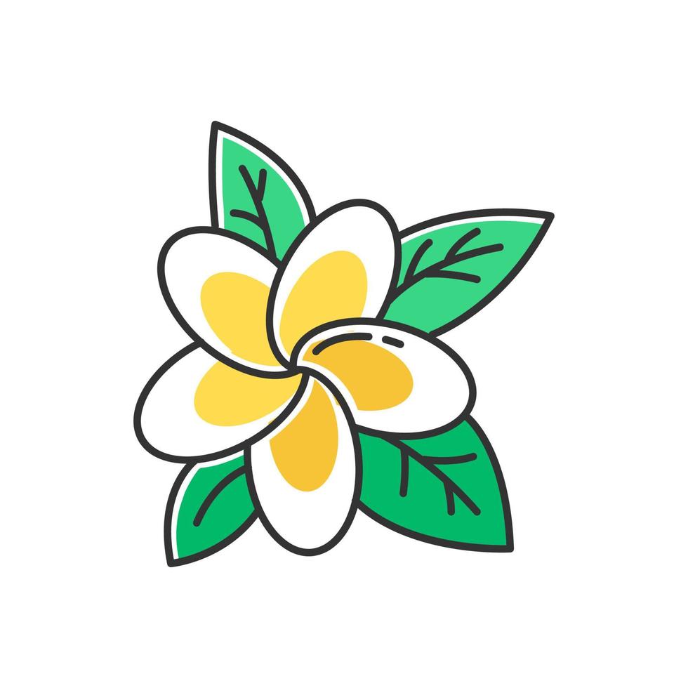 Plumeria yellow color icon. Exotic region flowers. Flora of Indonesian islands. Small tropical plants. Blossom of frangipani with leaves. Nature of Bali. Isolated vector illustration
