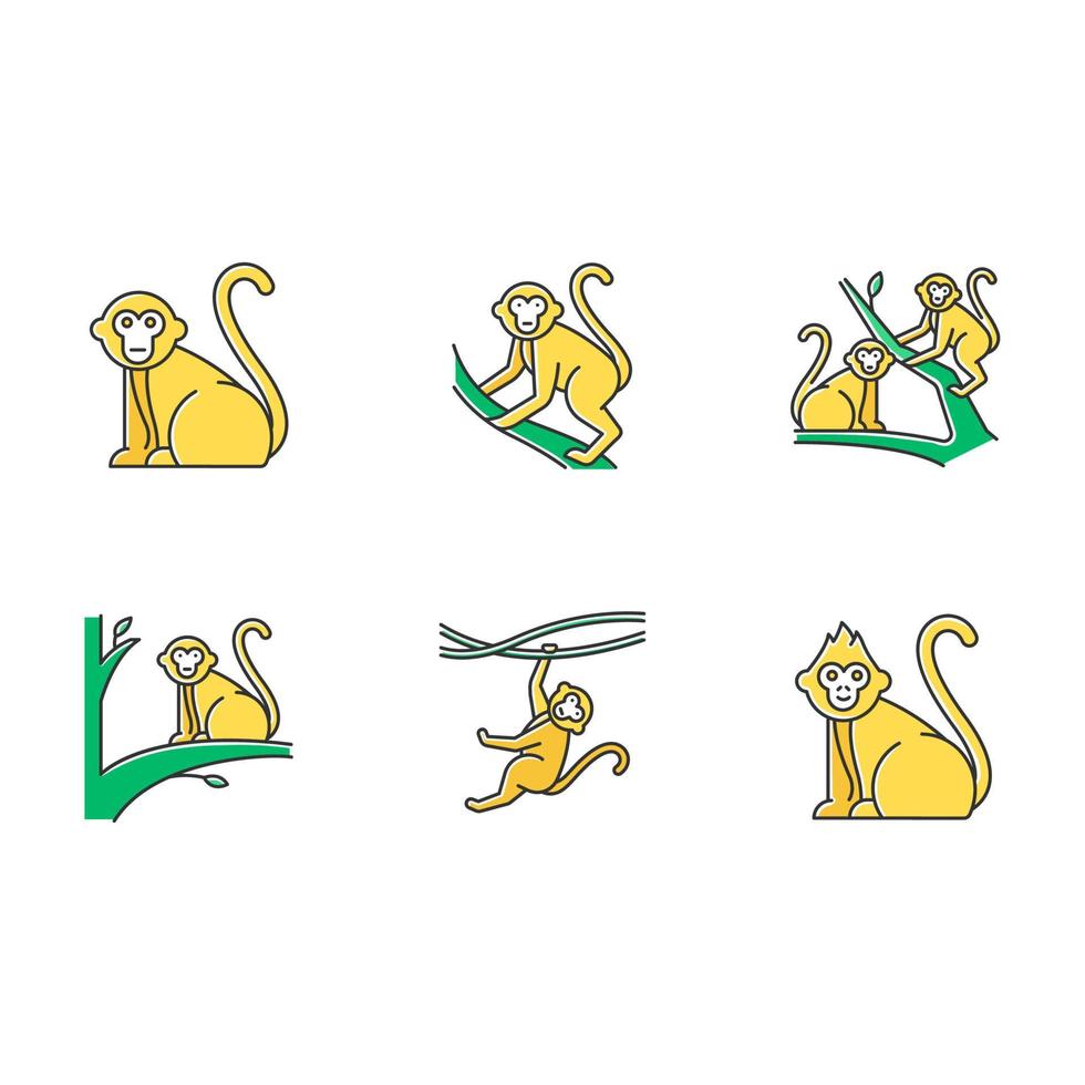 monos en conjunto de iconos de colores salvajes. animal de campo tropical, mamífero en los árboles. explorando la exótica vida salvaje de Indonesia. primate sentado. visitando la fauna del bosque balinés. ilustraciones vectoriales aisladas vector