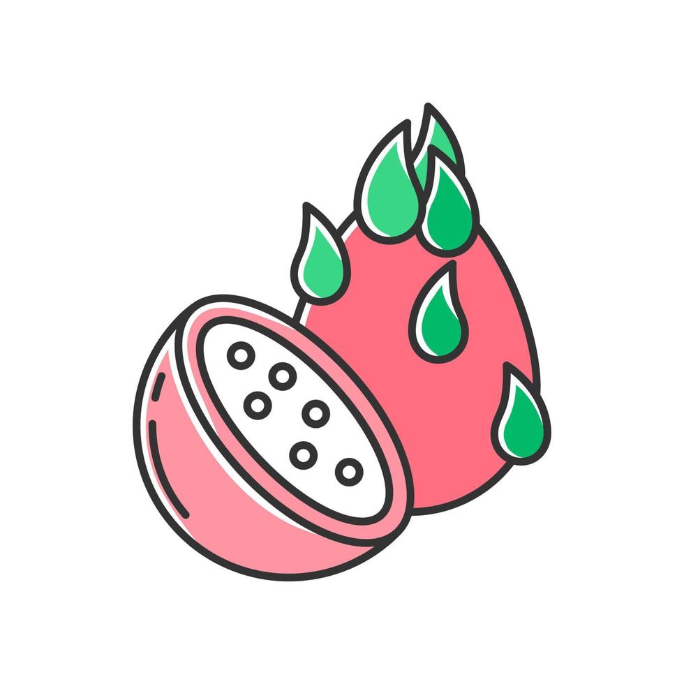 icono de color de la fruta del dragón. pieza de pitaya. explorando las especialidades gastronómicas locales. islas indonesias sabor único a fruta. comida sana asiática. planta tropical exótica. ilustración vectorial aislada vector