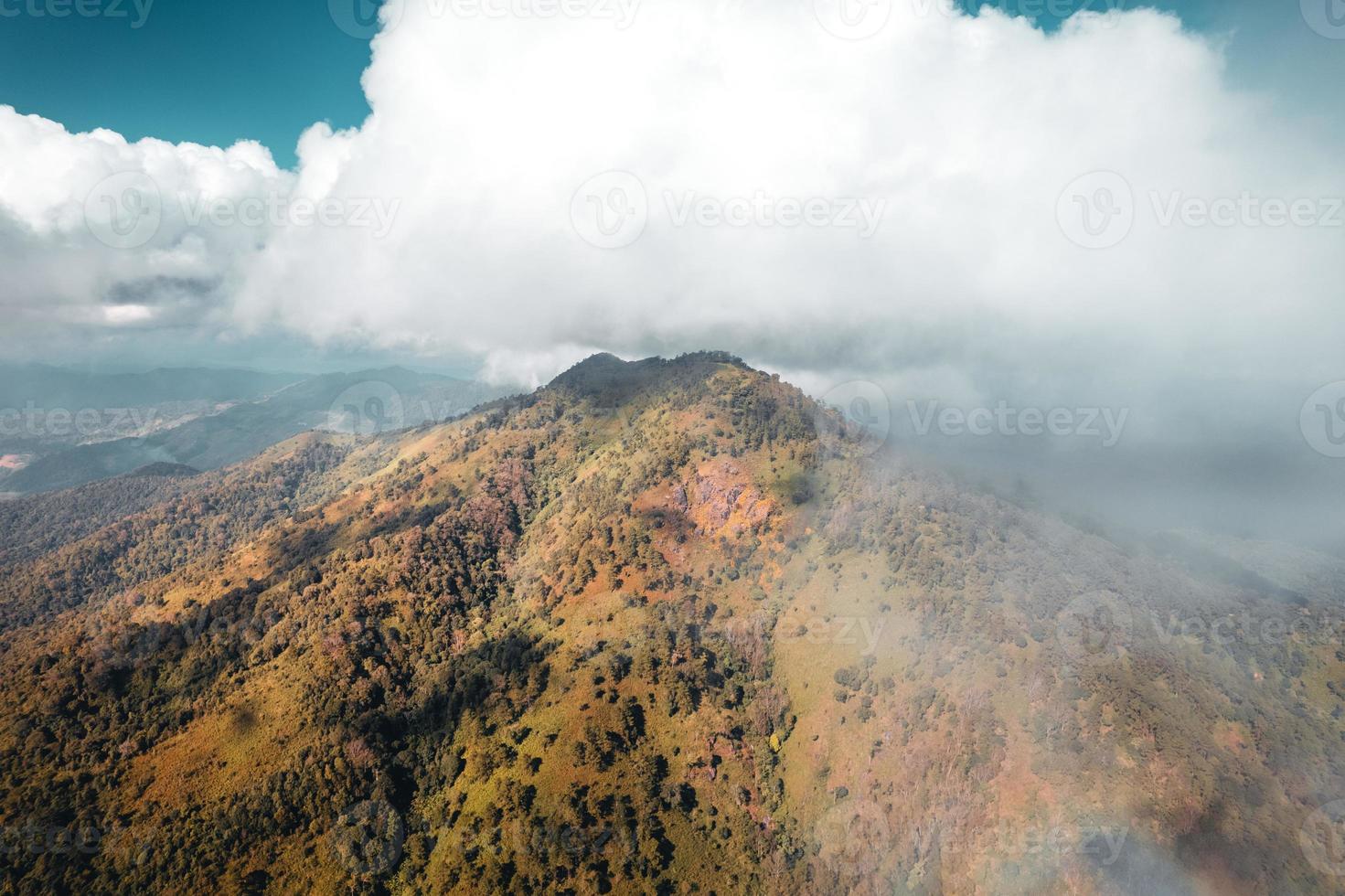 on the mountain during the day photo