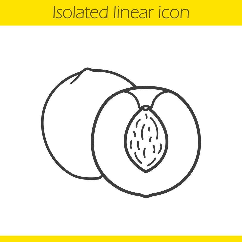 Apricot linear icon. Halved peach thin line illustration. Cutted nectarine contour symbol. Vector isolated outline drawing