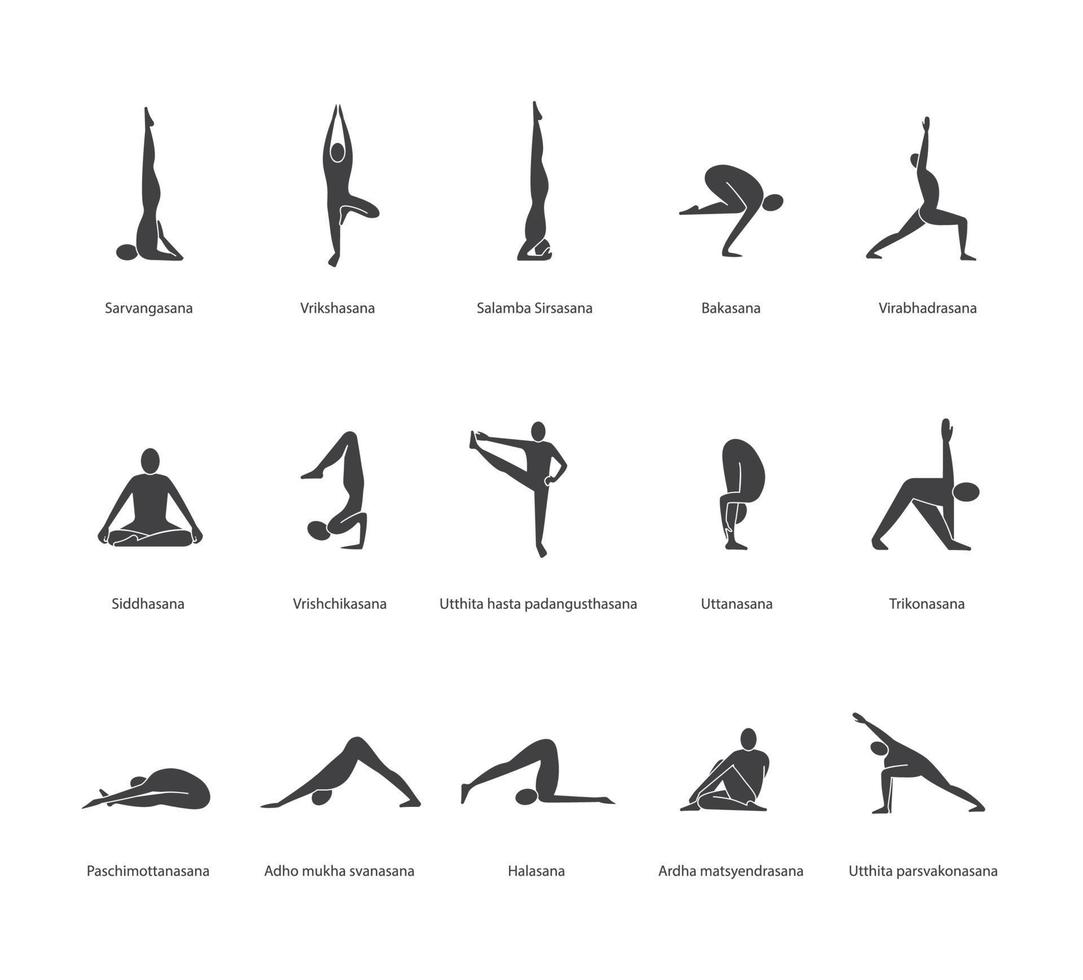 Yoga poses icons set. Yoga asanas silhouette symbols. Sarvangasana, halasana, bakasana, uttanasana, siddhasana, vrikshasana, trikonasana, virabhadrasana. Vector isolated illustration