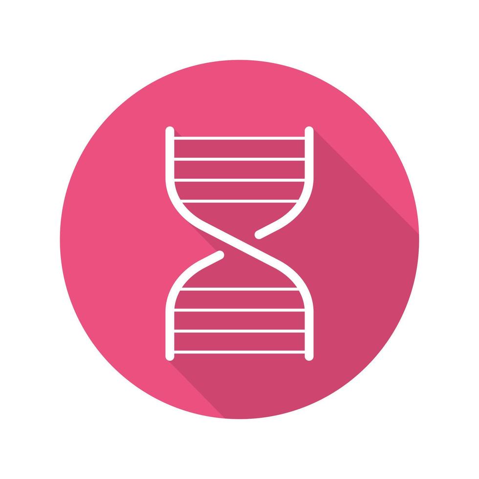 DNA chain model. Flat linear long shadow icon. Vector line symbol