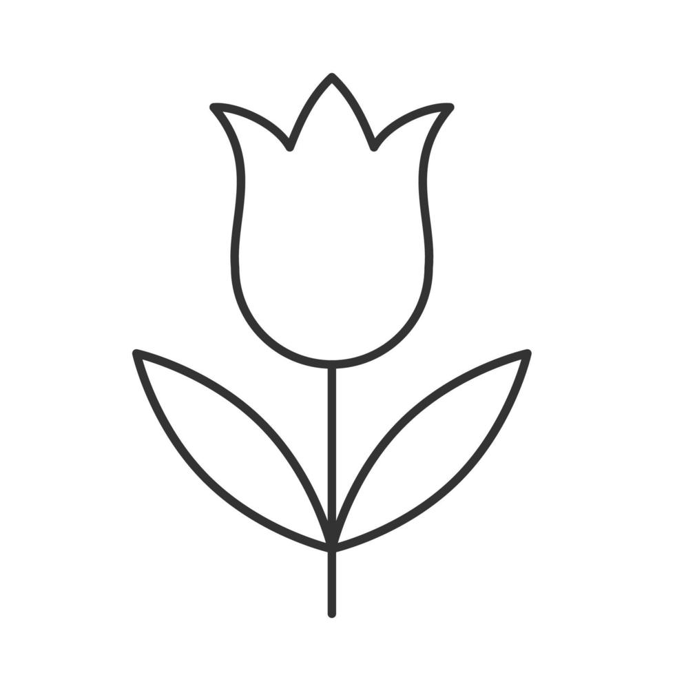 Tulip linear icon. Thin line illustration. Contour symbol. Vector isolated outline drawing