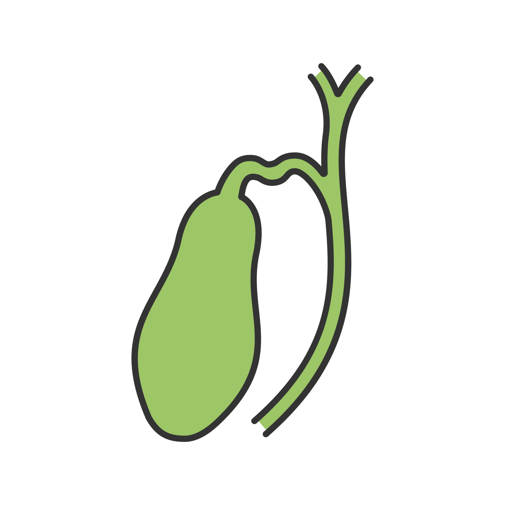 Gallbladder and ducts color icon. Isolated vector illustration 4619329