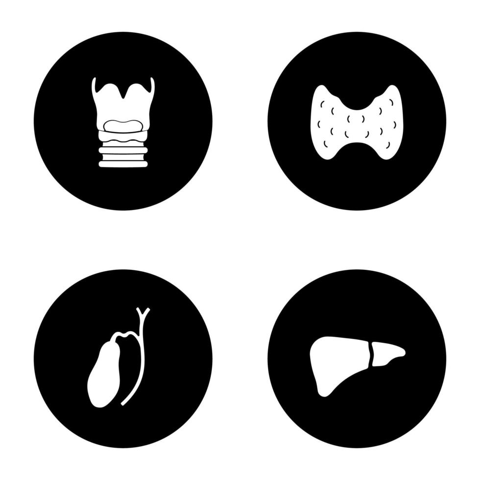 Internal organs glyph icons set. Larynx, thyroid, gallbladder, liver. Vector white silhouettes illustrations in black circles