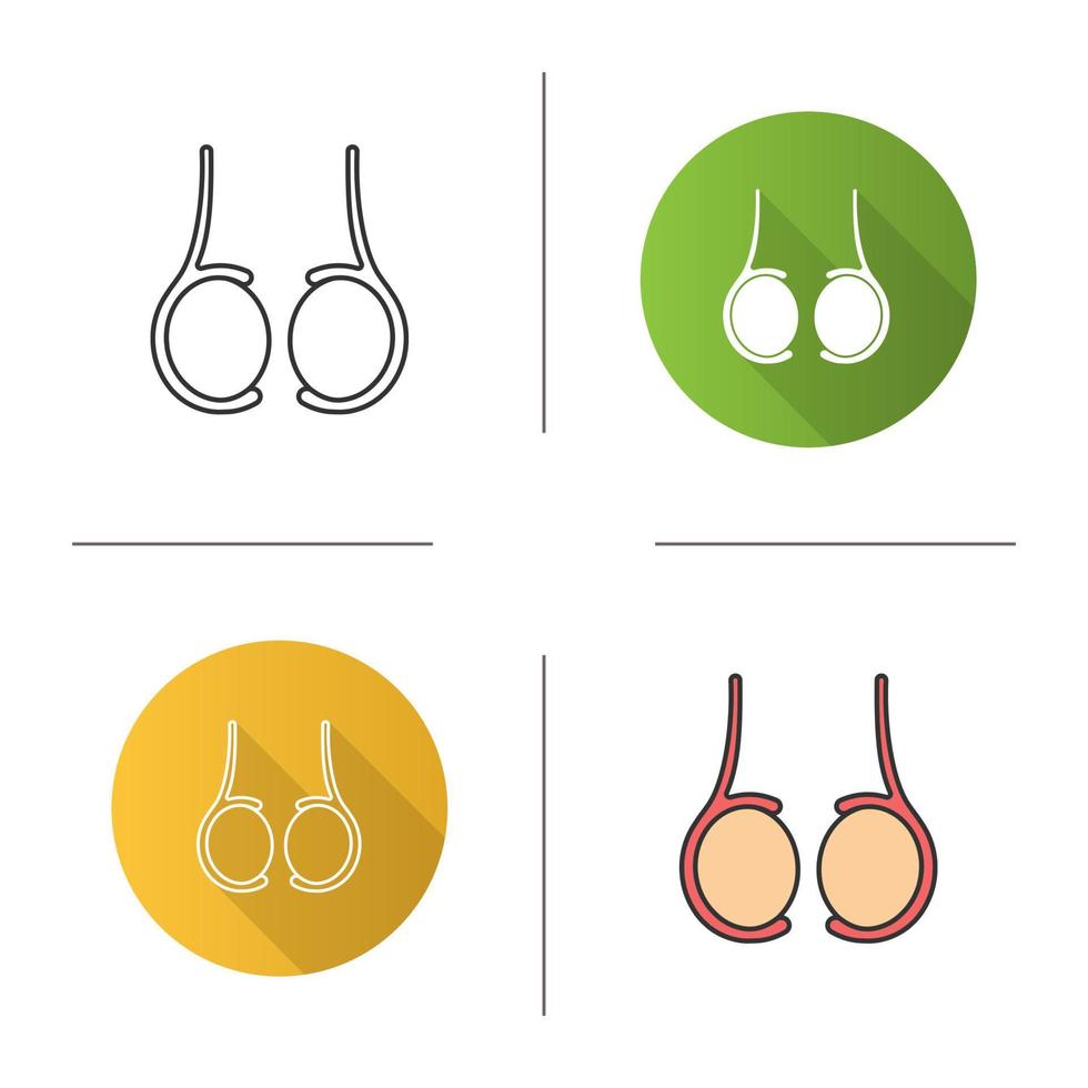 Testicles icon. Testis. Male reproductive gland. Flat design, linear and color styles. Isolated vector illustrations