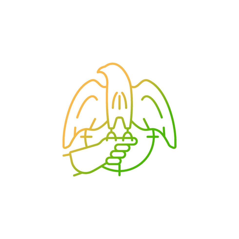 Falconry hunting gradient linear vector icon. Trained hawk, eagle captures small animals. Bird of prey. Falconer. Thin line color symbol. Modern style pictogram. Vector isolated outline drawing