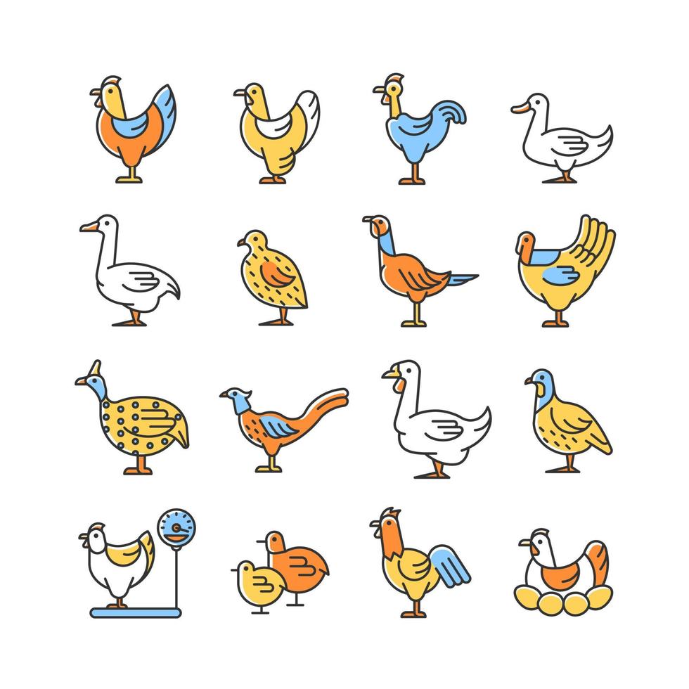 aves de granja para aves de corral conjunto de iconos de colores rgb. aves domésticas. cría aves-de-granja-para-aves-de-corral-conjunto-de-iconos-de-colores-rgb-aves-dom-sticas-cr-a