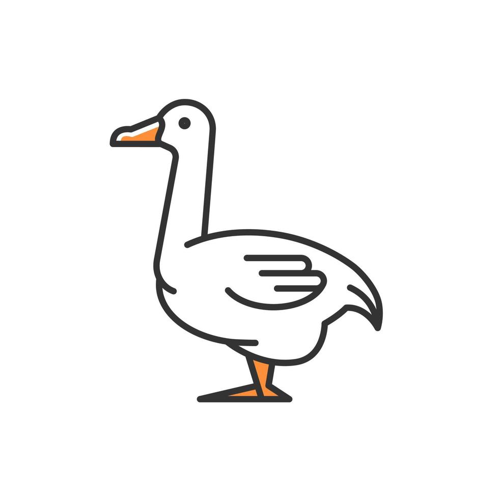 Goose RGB color icon. Domestic bird breed for meat. Poultry farming. Commercial geese growing. Waterfowl. Canadian and white goose. Isolated vector illustration. Simple filled line drawing