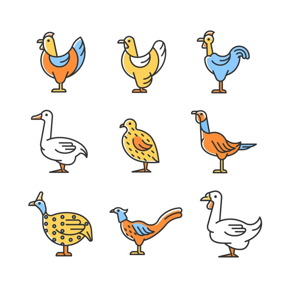 Domesticated birds RGB color icons set. Chicken and geese growth. Bird raising for meat and eggs. Commercial poultry farming. Isolated vector illustrations. Simple filled line drawings collection