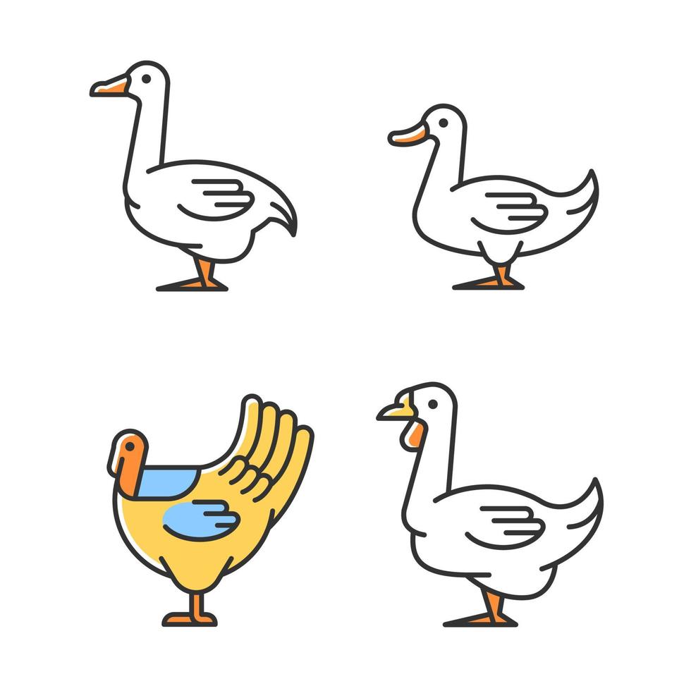 Waterfowl RGB color icons set. Ducks and geese raising. Turkey growing. Livestock husbandry. Commercial poultry farming. Isolated vector illustrations. Simple filled line drawings collection