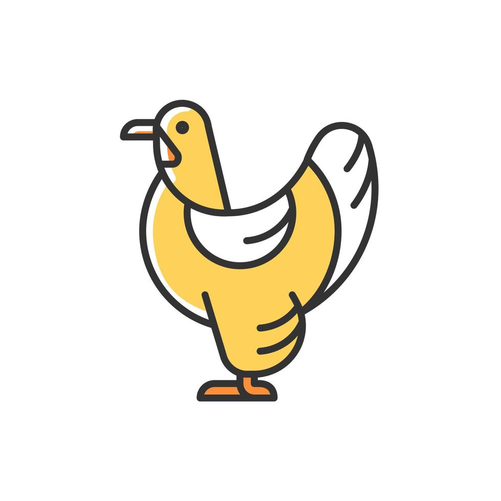 Brahma hen RGB color icon. American chicken breed. Poultry farming industry. Raising domestic bird for meat and eggs. Feathered shanks, toes. Isolated vector illustration. Simple filled line drawing