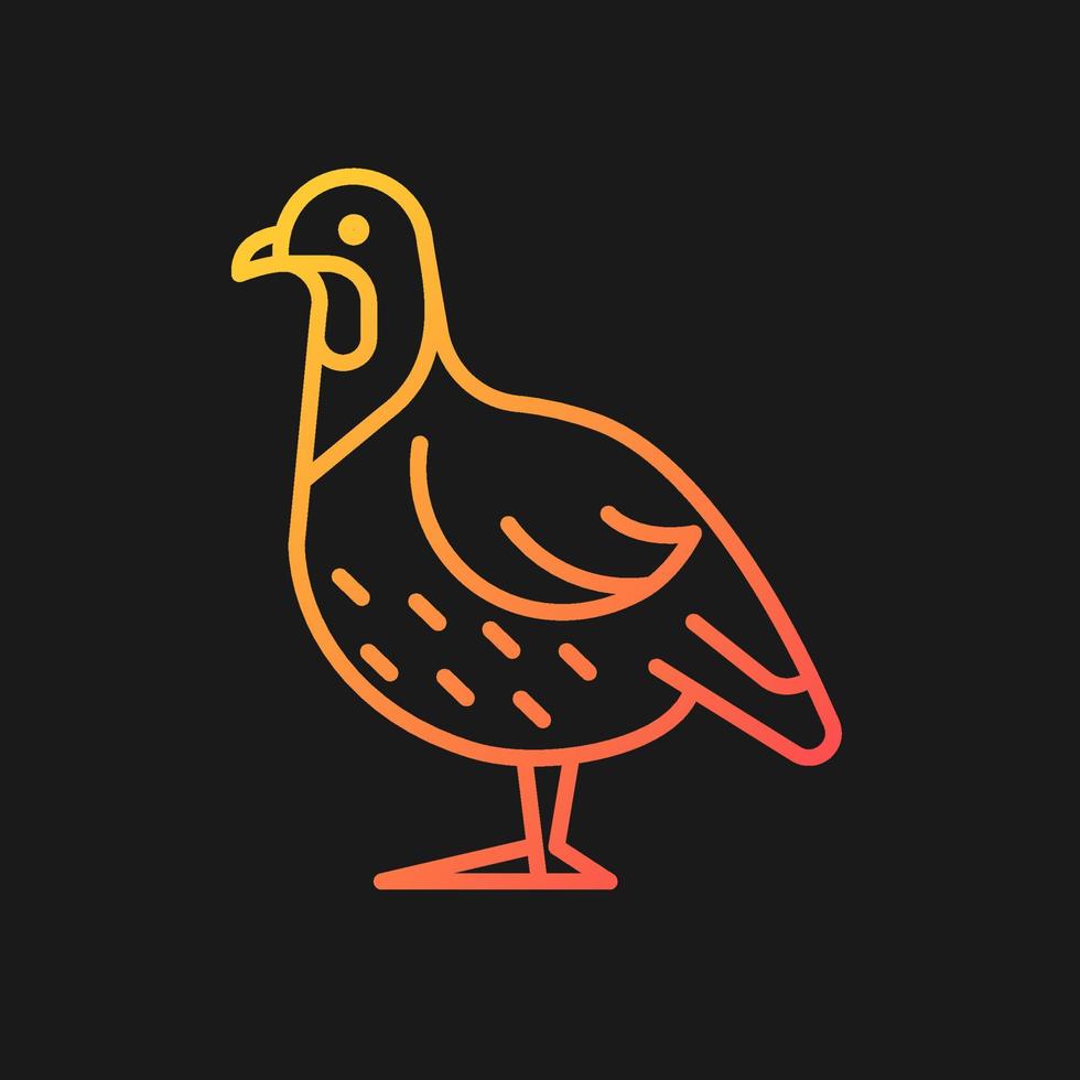 Partridge gradient vector icon for dark theme. Small domestic fowl. Commercial poultry raising. Grey landfowl breed. Thin line color symbol. Modern style pictogram. Vector isolated outline drawing