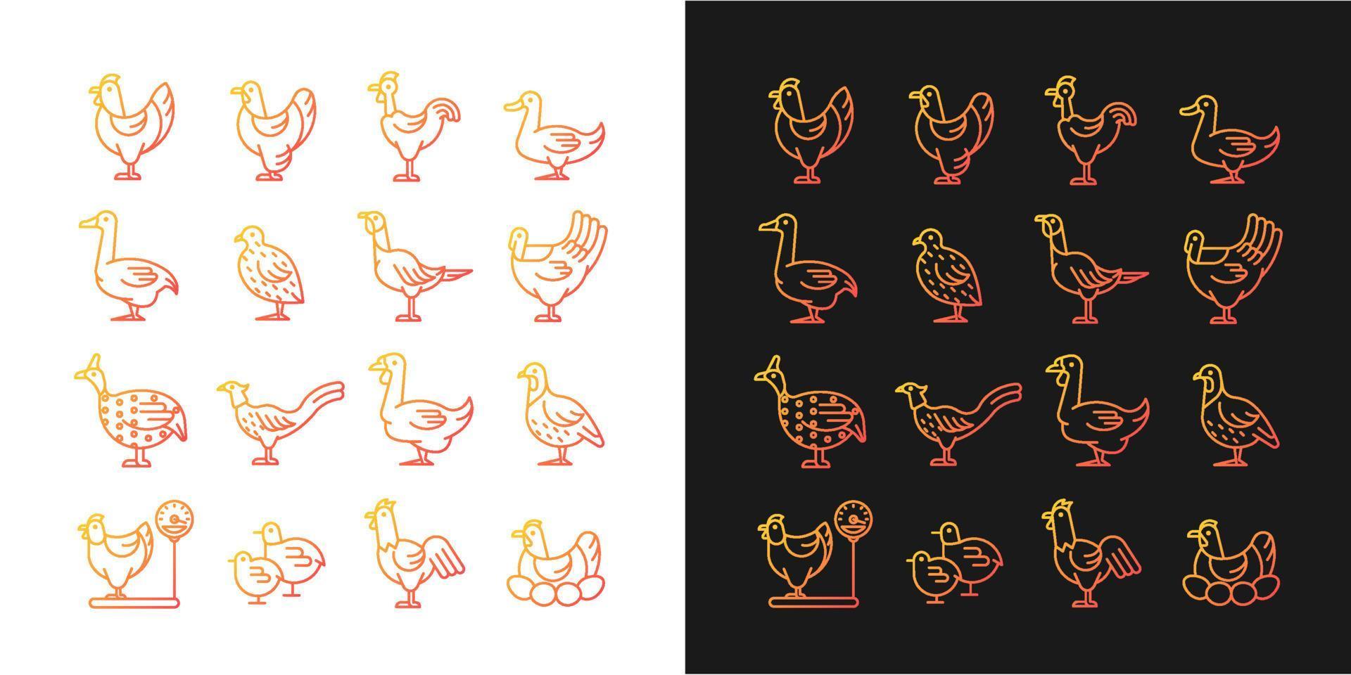 Farm birds for poultry gradient icons set for dark and light mode. Domestic fowl husbandry. Thin line contour symbols bundle. Isolated vector outline illustrations collection on black and white