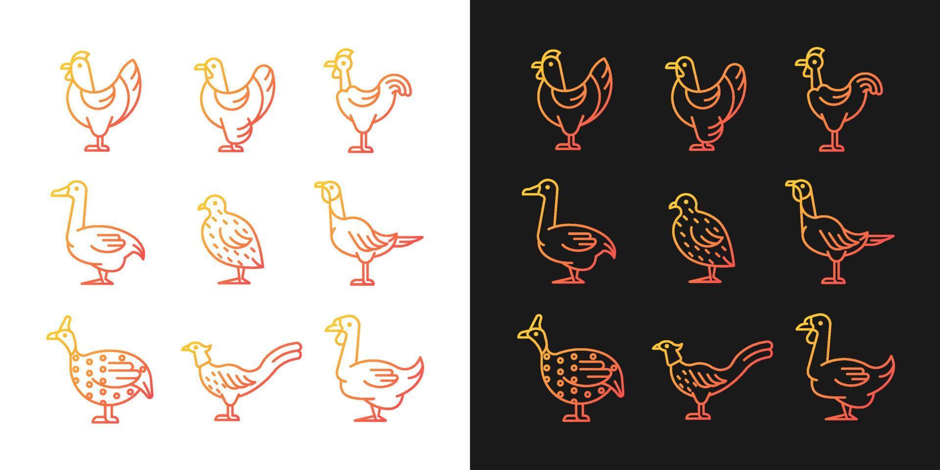 Domesticated birds gradient icons set for dark and light mode. Chicken and geese growth. Thin line contour symbols bundle. Isolated vector outline illustrations collection on black and white