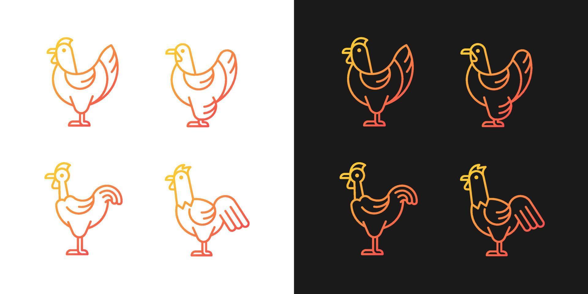 Chicken breeds gradient icons set for dark and light mode. Brahma hen. Transylvanian chicken. Thin line contour symbols bundle. Isolated vector outline illustrations collection on black and white