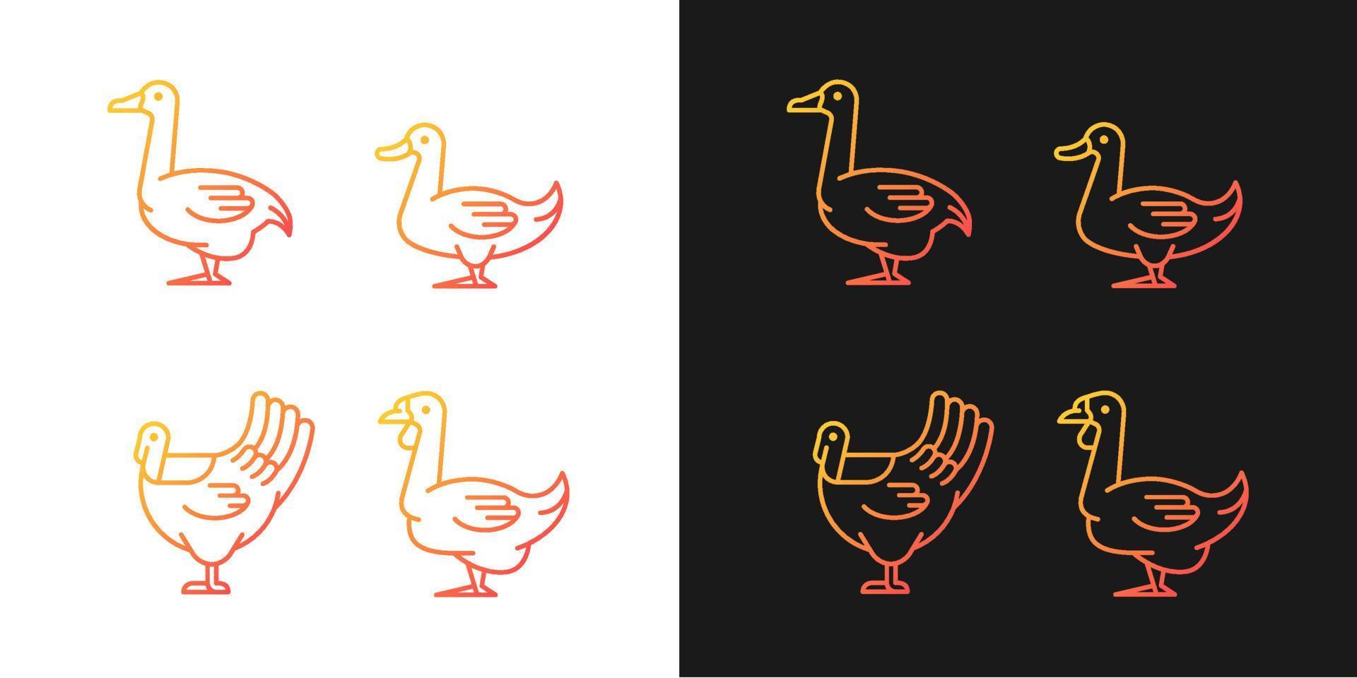 Waterfowl gradient icons set for dark and light mode. Ducks and geese raising. Turkey growing. Thin line contour symbols bundle. Isolated vector outline illustrations collection on black and white