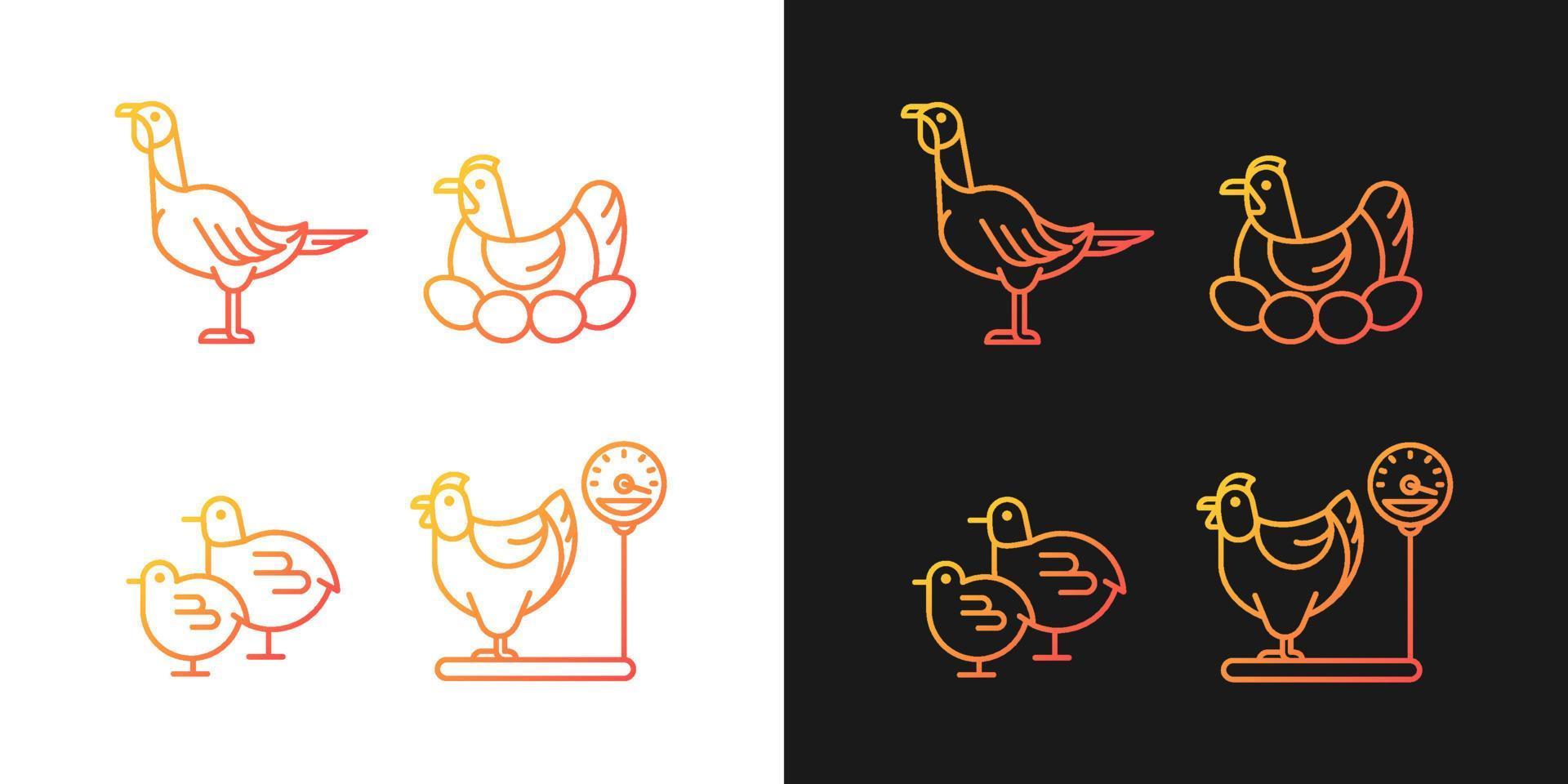 Iconos de gradiente de gallinas domésticas configurados para modo oscuro y claro. aves hembras. pavo y pollo. paquete de símbolos de contorno de línea delgada. colección de ilustraciones de contorno vectorial aislado en blanco y negro vector