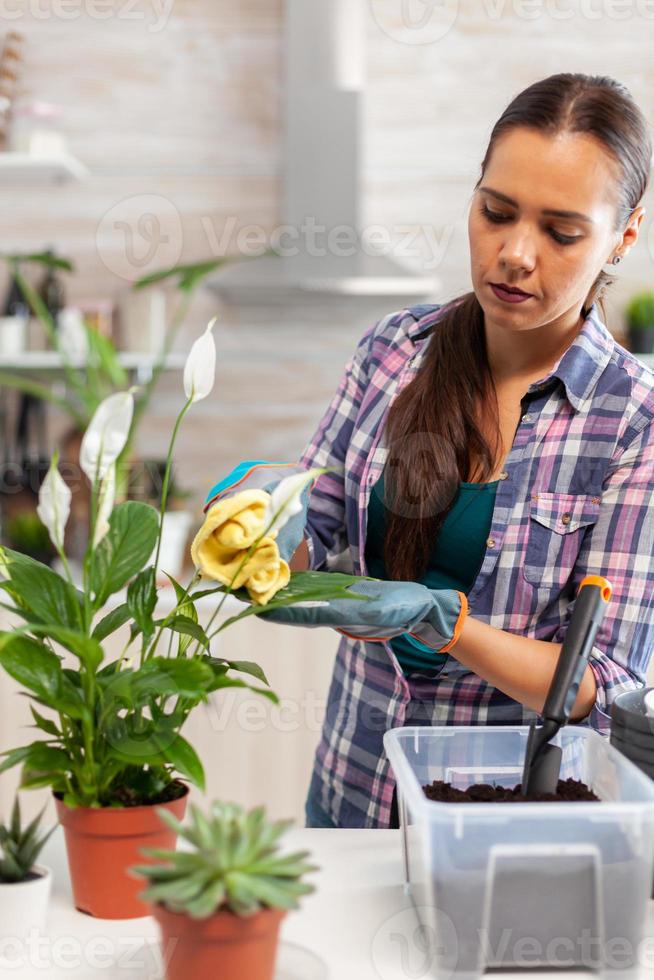 Mujer limpiando las hojas de las flores en la cocina foto