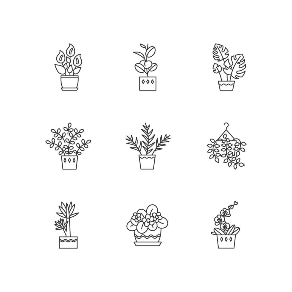 Conjunto de iconos lineales perfectos de píxeles de plantas domesticadas. plantas de interior. violeta, ficus, monstera. lirio, potos. símbolos de contorno de línea fina personalizables. ilustraciones de contorno de vector aislado. trazo editable