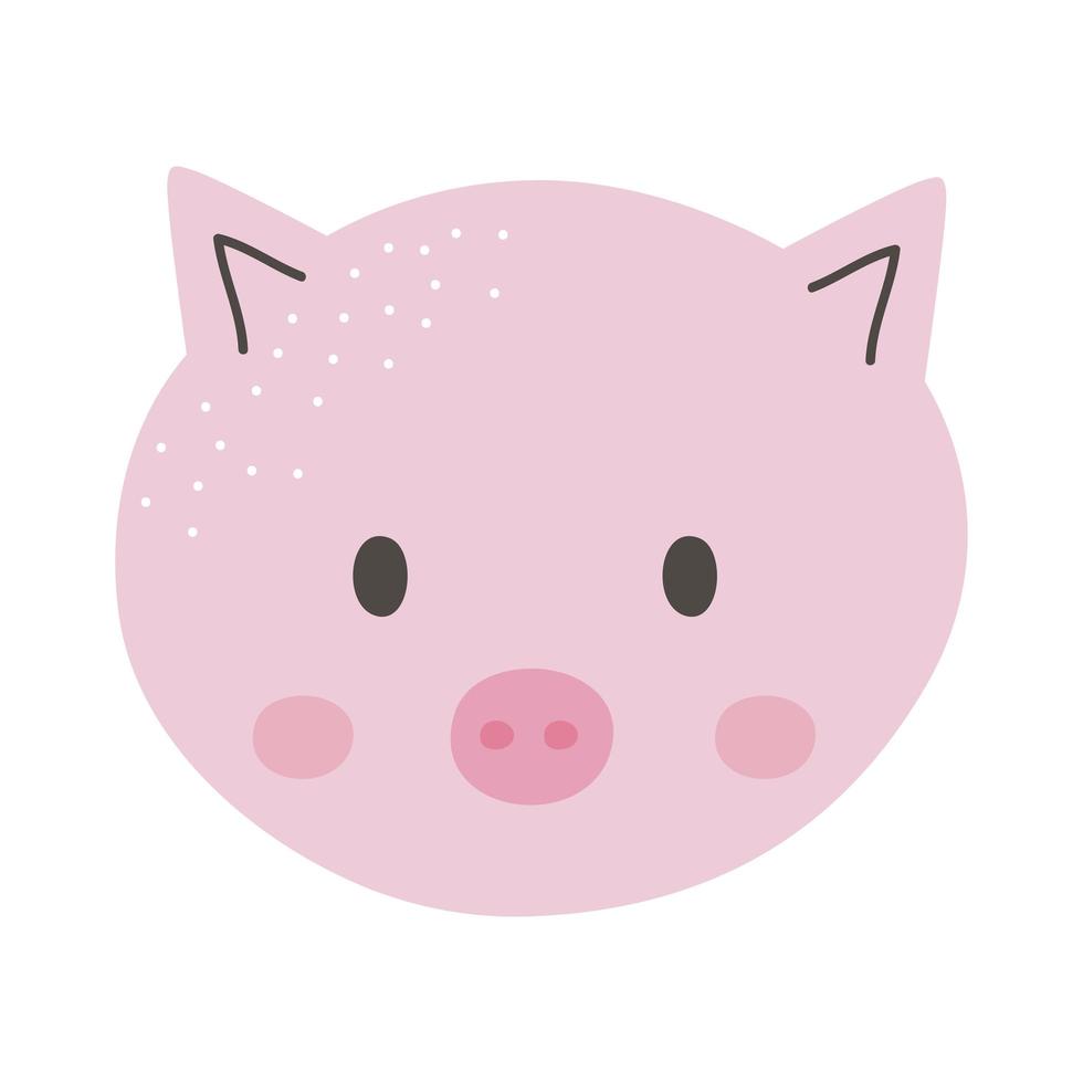 pretty pig face vector