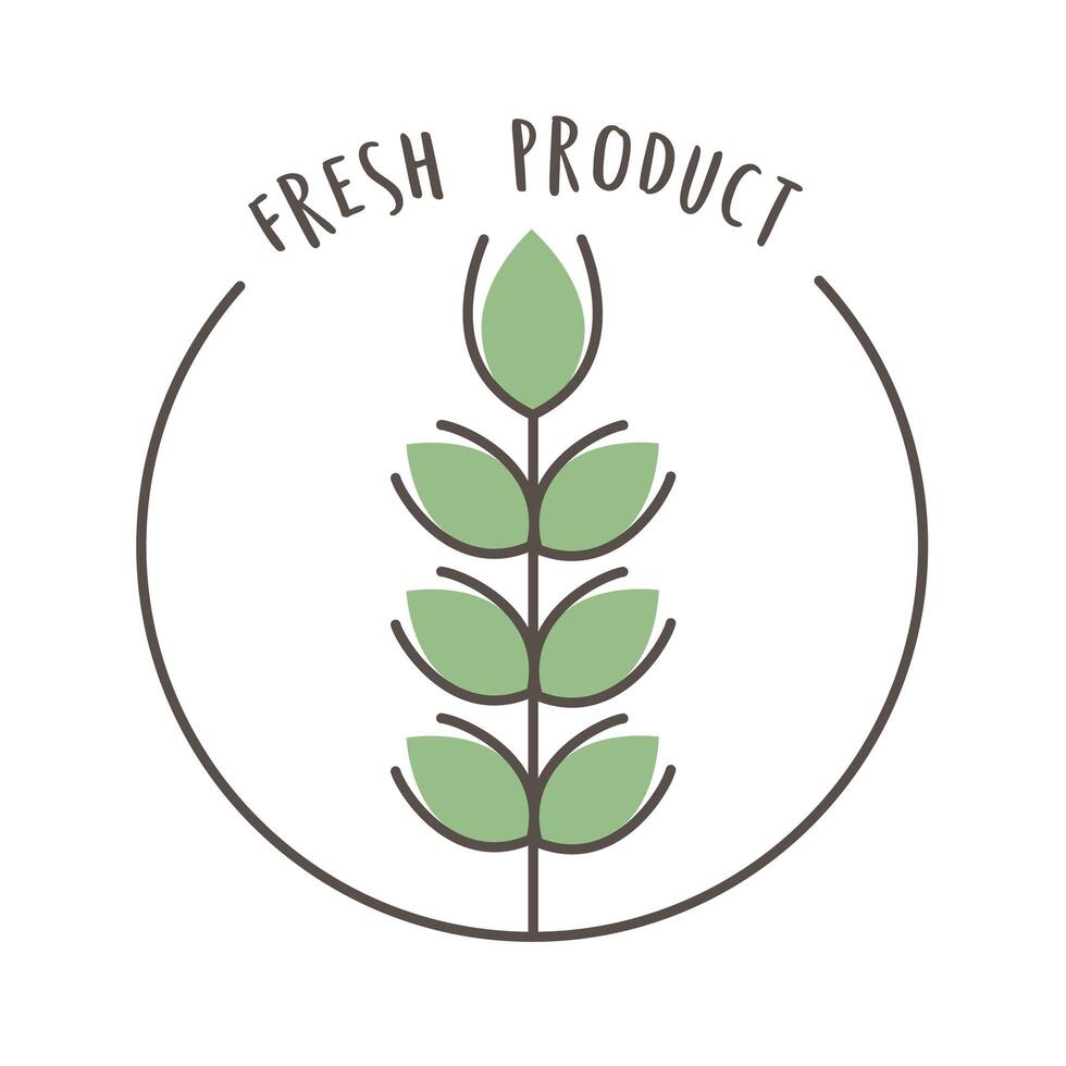 natural seal illustration vector