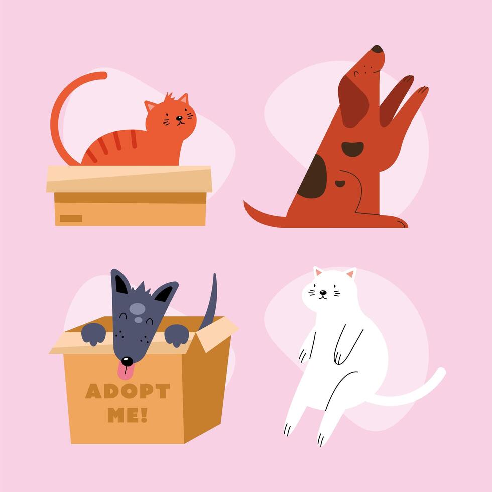 four adoption pets icons vector