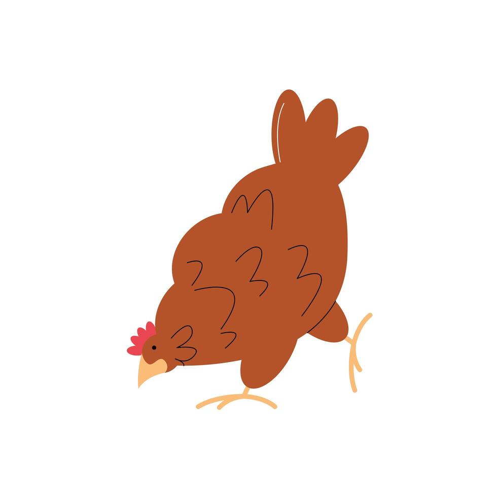 farm hen animal vector