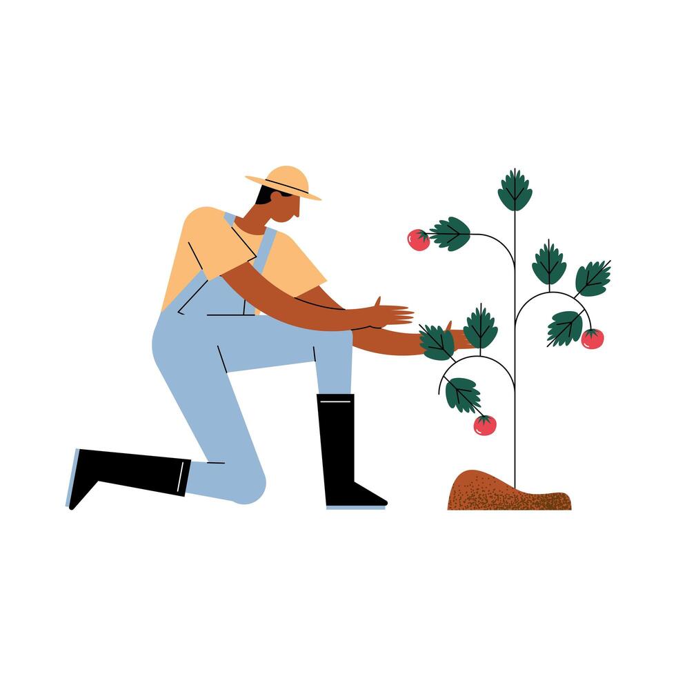 farmer with plant vector